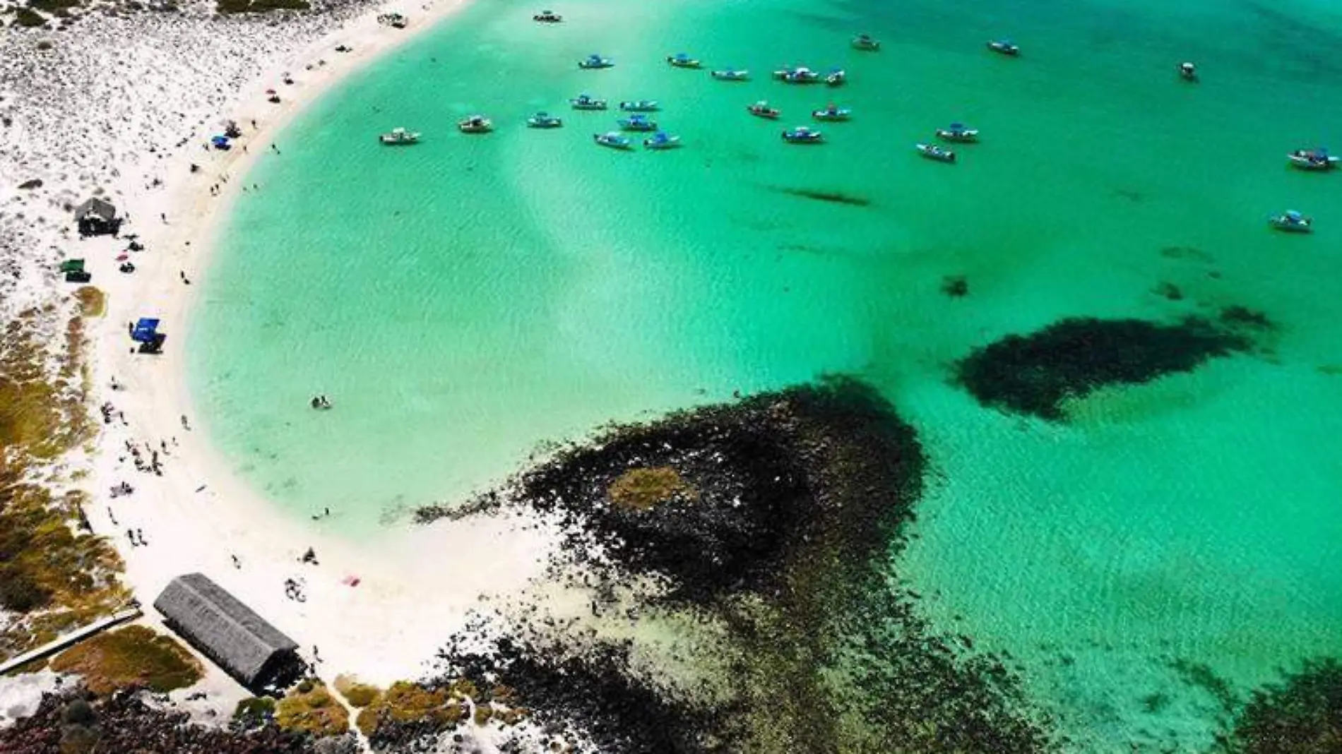 Delimitan espacios en islas de Loreto